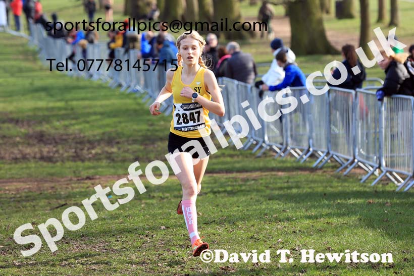 Girls Under-15s, 2024 CAU Inter Counties Cross Country Champs., Wollaton Park, Nottingham. Photo: David T. Hewitson/Sports for All Pics